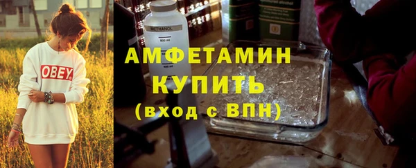 крисы Надым
