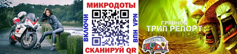 Псилоцибиновые грибы мухоморы  закладка  Грязовец 